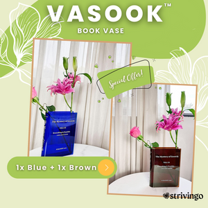 Vasook™ Book Vase | BUY 1 GET 2!