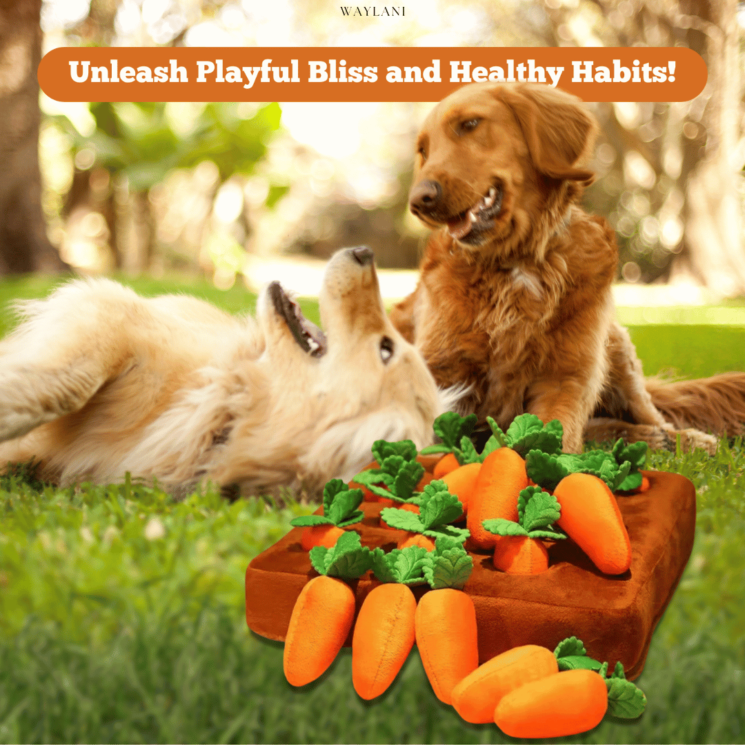 50% THIS WEEK ONLY | Turfy™ Plush Carrots Dog Puzzle