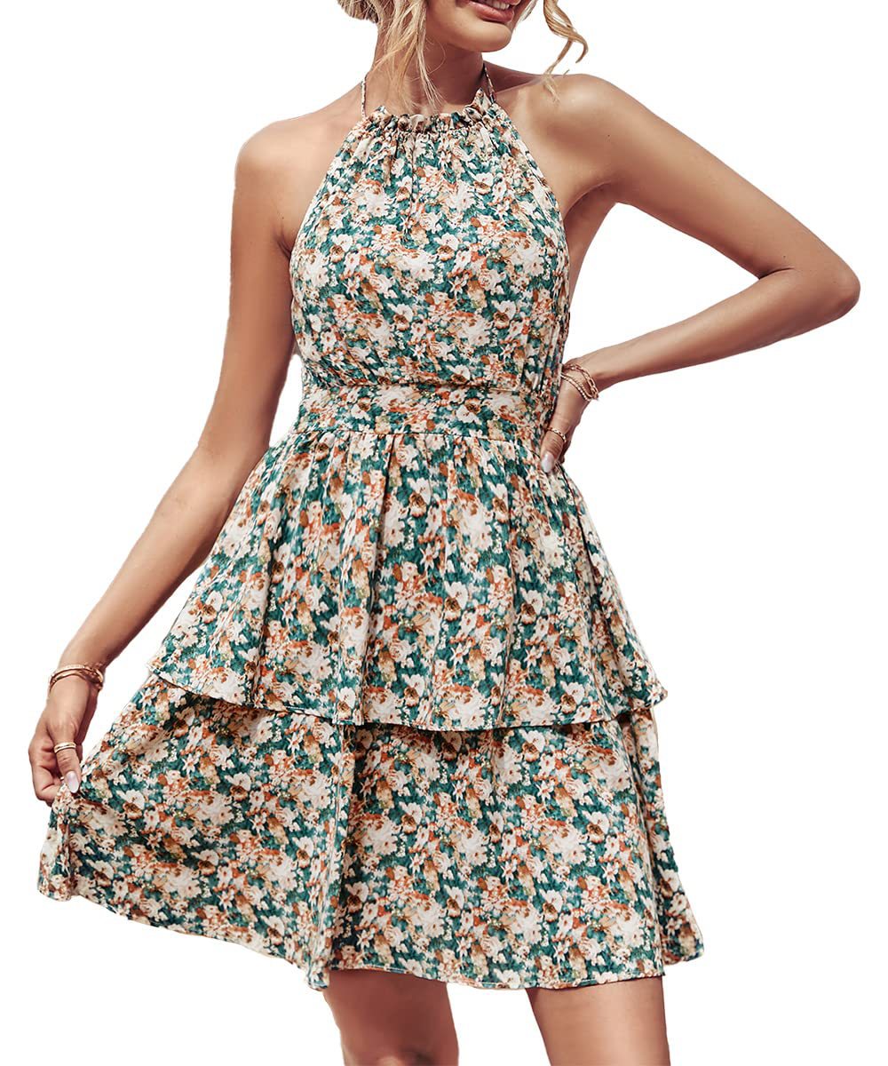 Ericka Summer Floral Halter Dress with Ruffle Details and Backless Design