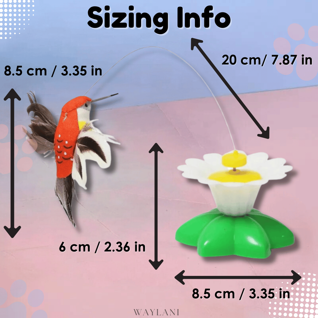 Katifly Automatic Rotating Bird & Butterfly Toy for Cats