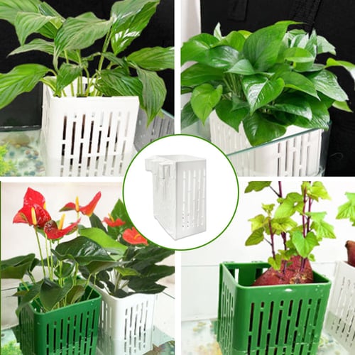 Submagreen Submersible Hanging Aquarium Plant Holder | BUY 1 GET 1 FREE (2PCS)