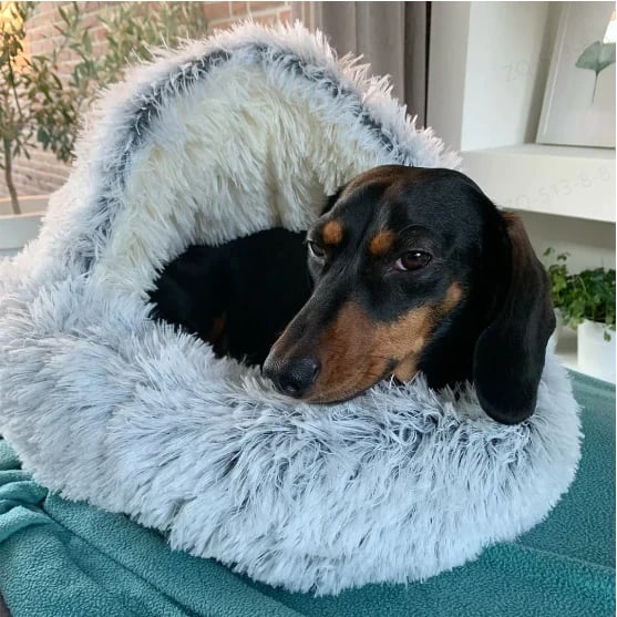 Snugpaws Cozy Plush Bed for Dogs & Cats