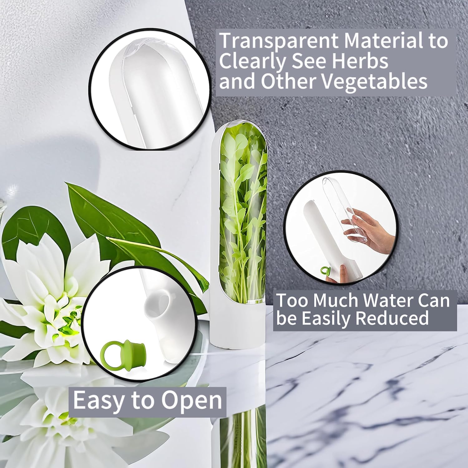 Freshgreens Freshness-Preserving Veggie & Herb Storage Containers | BUY 1 GET 1 FREE (2PCS)