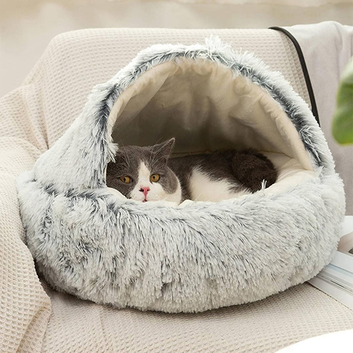 Snugpaws Cozy Plush Bed for Dogs & Cats