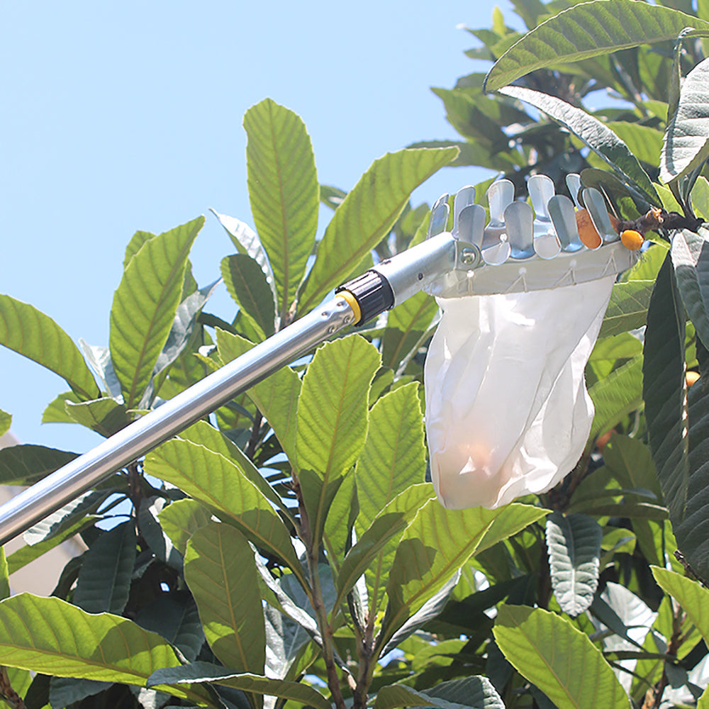 PickN'Go™ Fruit Picker Basket