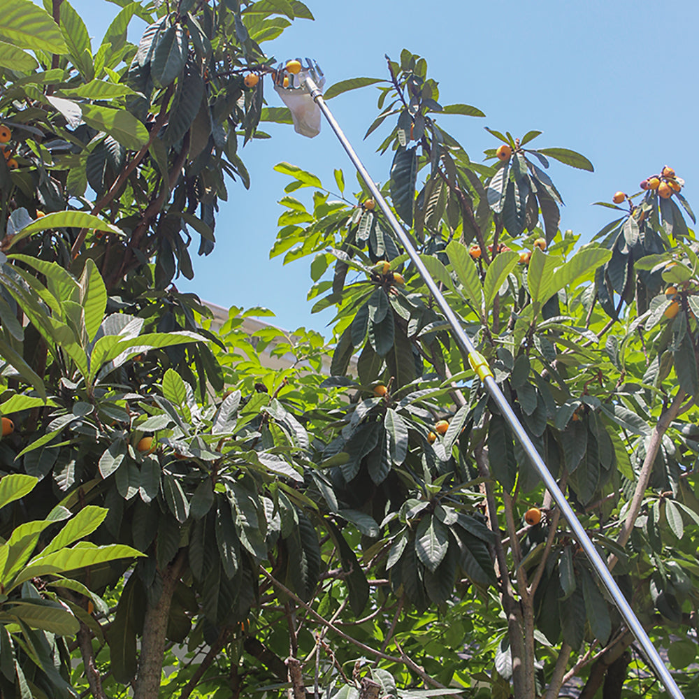 PickN'Go™ Fruit Picker Basket